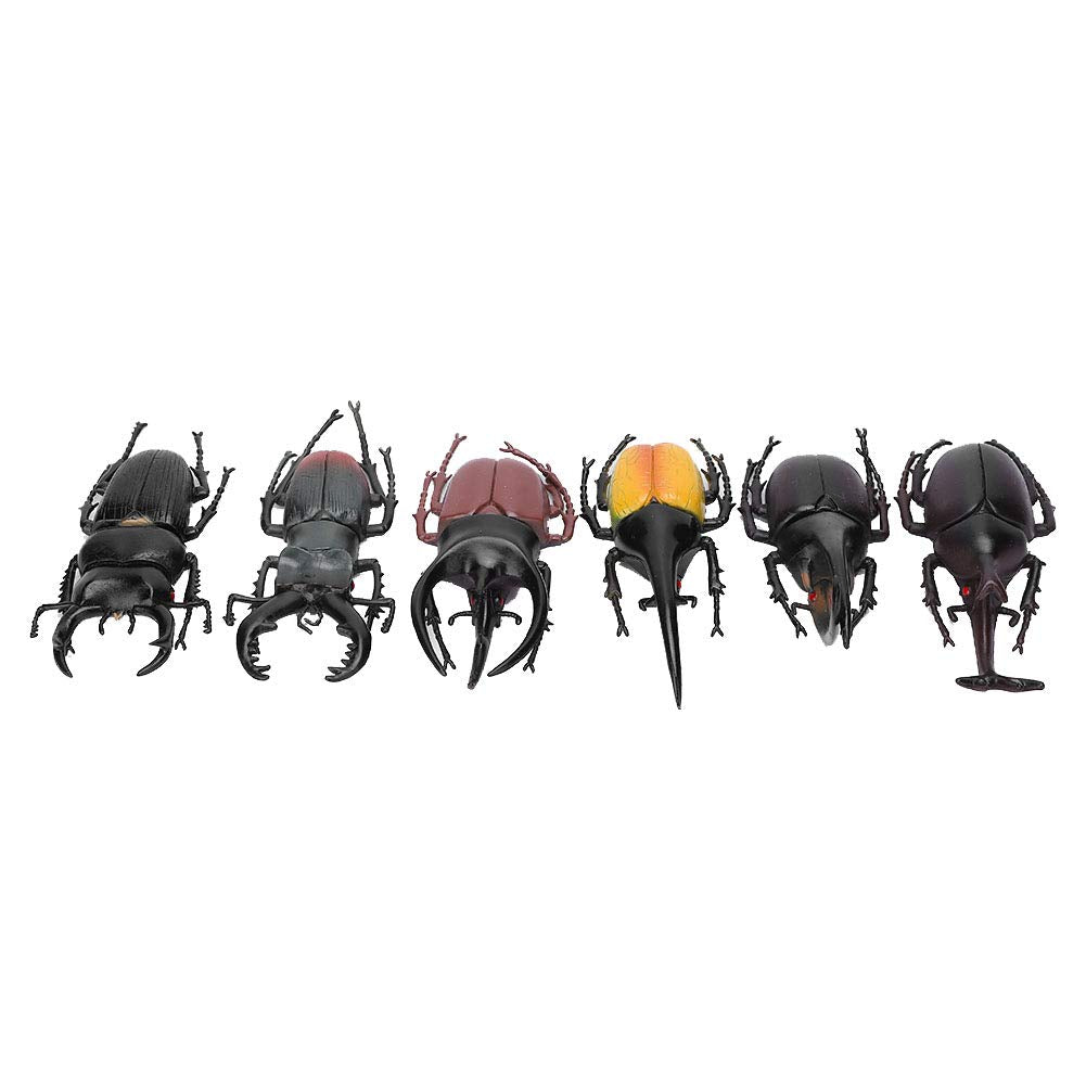 Semiter Summer gift Insect Toy, 6pcs Beetle Insect Model, NonÃƒÆ’Ã†â€™Ãƒâ€šÃ‚Â¢ÃƒÆ’Ã‚Â¢ÃƒÂ¢Ã¢â€šÂ¬Ã…Â¡Ãƒâ€šÃ‚Â¬ÃƒÆ’Ã‚Â¢ÃƒÂ¢Ã¢â‚¬Å¡Ã‚Â¬Ãƒâ€¹Ã…â€œToxic PVC Insect Toy Insect Model Halloween Trick for Toy for Ornament(6 large black beetles)