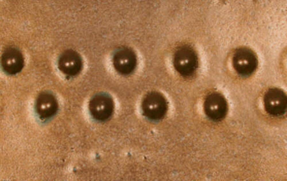 AMACO-35419A Potters Choice Glaze, Saturation Gold PC-02, 1 Pint