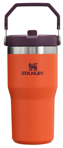 STANLEY IceFlow Flip Straw Tumbler with Handle 20 oz | Twist On Lid and Flip Up Straw | Leak Resistant Water Bottle | Insulated Stainless Steel |BPA-Free | Tigerlily Plum