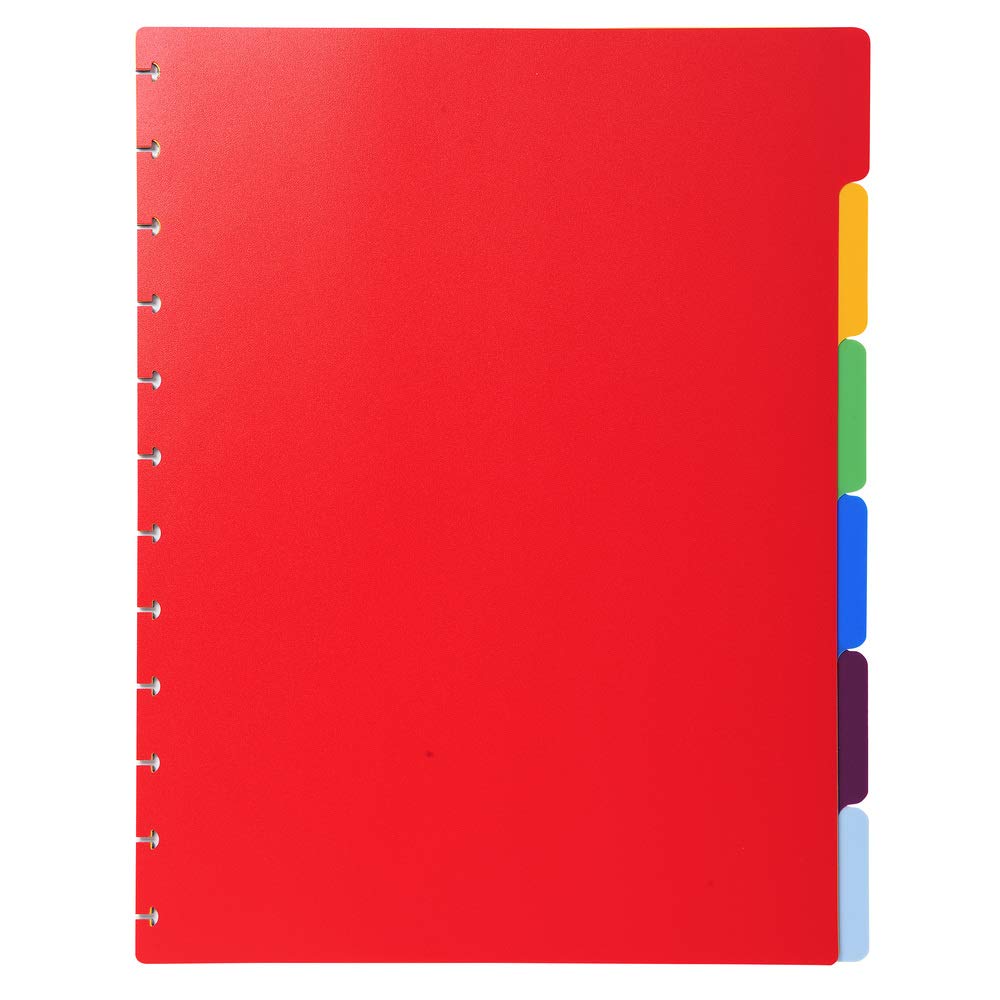 Exacompta - Ref 86002E - Divider Inserts for Repositionable Display Books - Suitable for Use With A4+ Documents, 6 Tabbed Positions - Assorted Coloured Tabs
