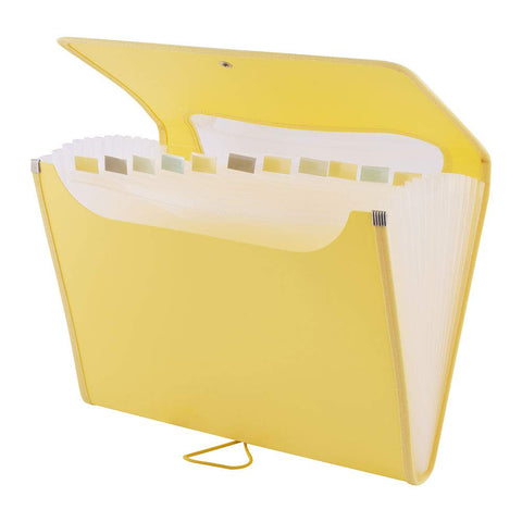 D.RECT 5590 - A4 12-Pocket Expandable Folder | Expandable Binder Documents | Accordion Binder Pockets Briefcase | Perfect for Office, School and Home | Yellow