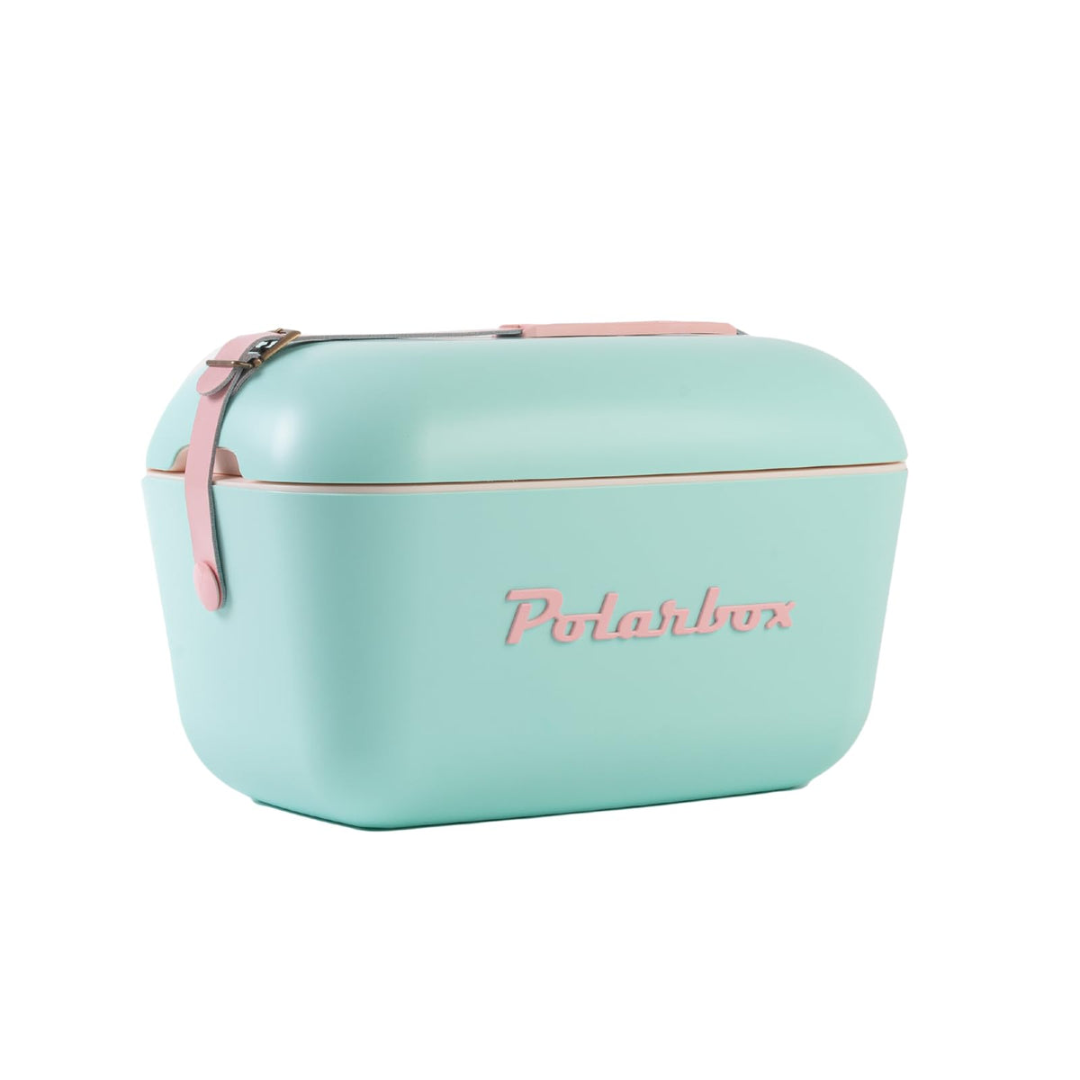 Polarbox Cooler Retro Beach Cooler Vintage Picnic Lunch Box Bag Portable Cooler Travel Camping Hiking 90s Style Ice Chest Medium Lightweight for Cans Beers & Seltzer Drinks 12L (Cyan Baby Rose)