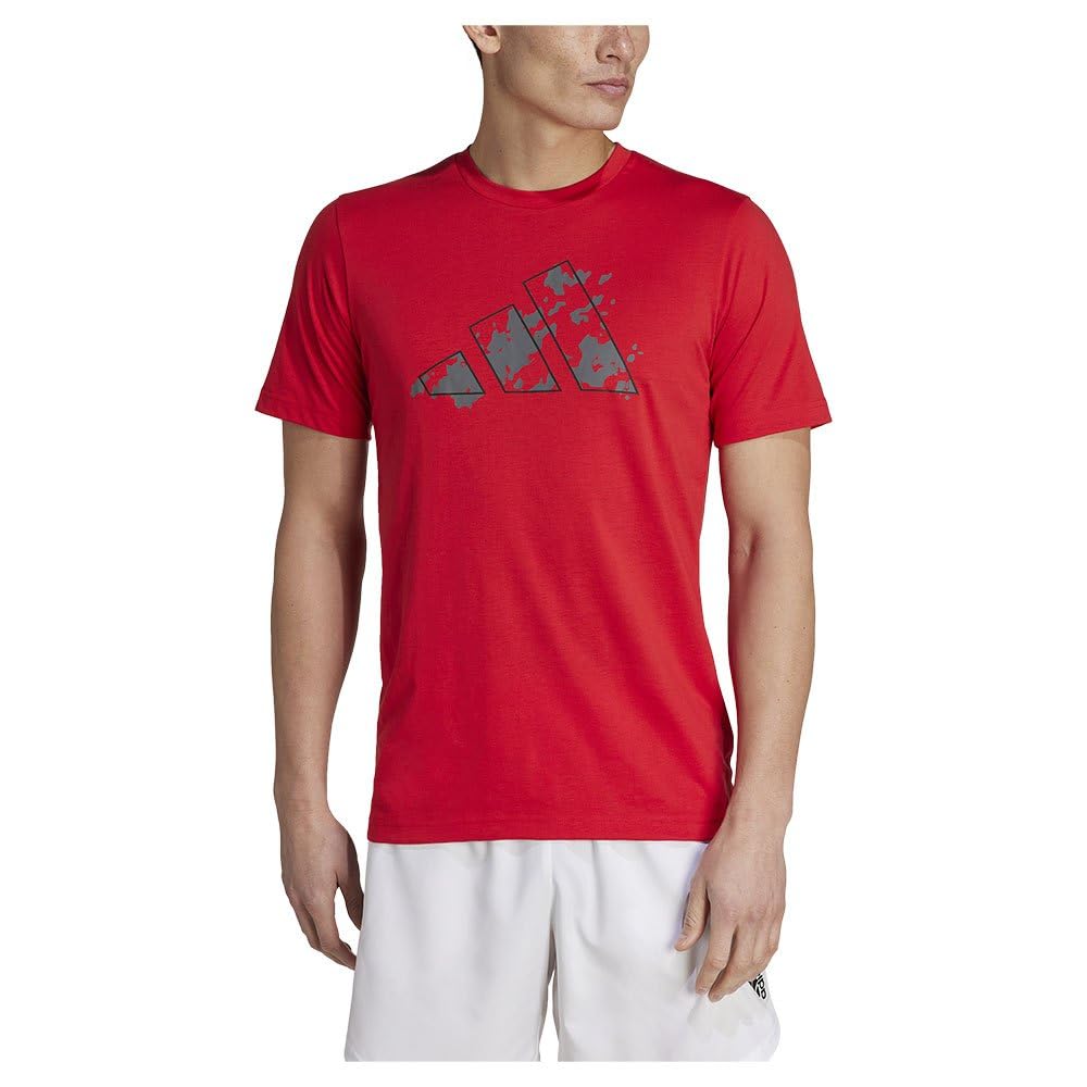 adidas Men's Train Essentials Seasonal Training Graphic Tee, Better Scarlet/Grey Five, M