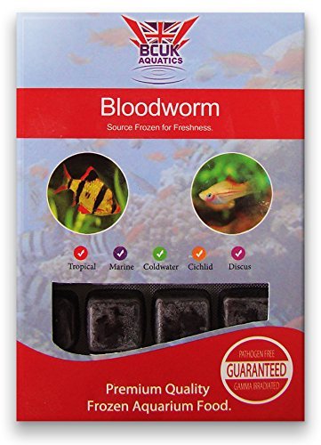 BCUK Frozen Fish Food Bloodworm Blister Pack 100g x5