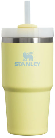 STANLEY Quencher H2.0 FlowState Stainless Steel Vacuum Insulated Tumbler with Lid and Straw for Water, Iced Tea or Coffee, Smoothie and More, Pomelo, 20oz