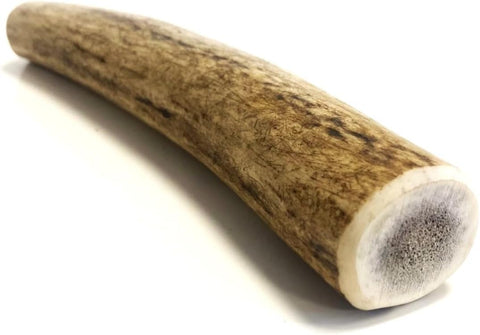 * New * Antler Dog Chews Large x 2 (Weight - 150-224g), (Size May Vary) Premium Quality Natural Dog Chew Treat Hypo-Allergenic Dog Chew SHC