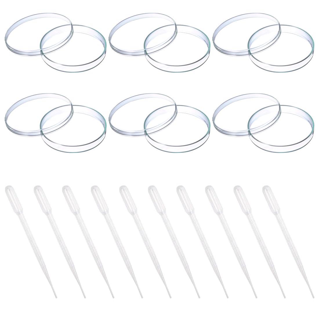 Pack of 6 Petri Dishes, 70 mm Plastic Petri Dishes with Lid, Laboratory Culture Bowl, Sterile Bacterial Culture Bowl, with 10 x 1 ml Transfer Pipettes, for Observing Microbes
