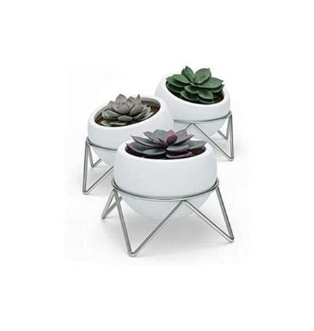 Umbra Potsy Desktop Planters for Succulents, Mini Cacti, Faux Plants and More, White/Nickel