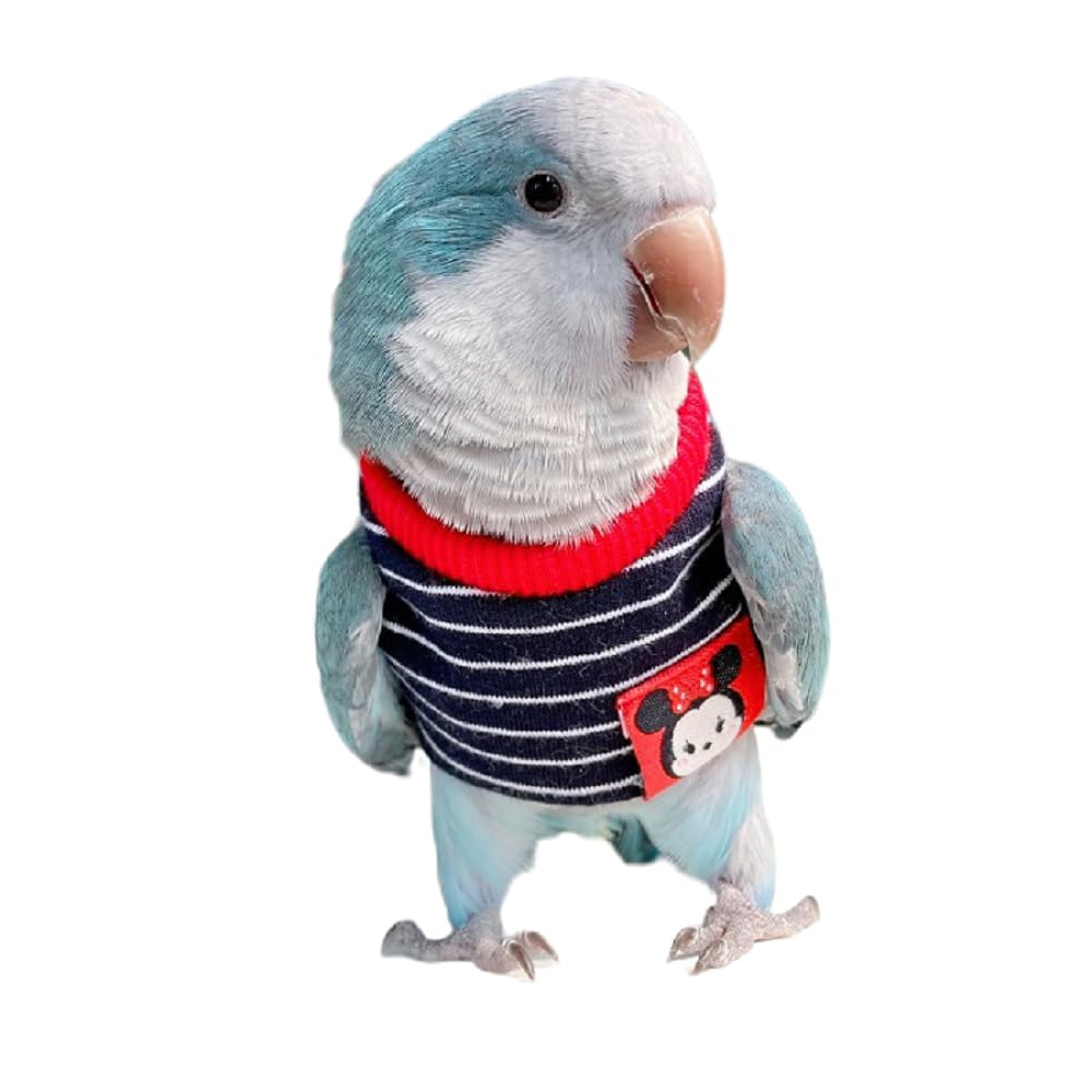 Parrot Bird Supplies, Light Flying Clothes, Warm and Comfortable, Tiger Skin, Green Cheek Parrot, Little Sun Parrot, Monk Parrot, Starling, mynah, Senegal Parrot (Without Diaper, L)
