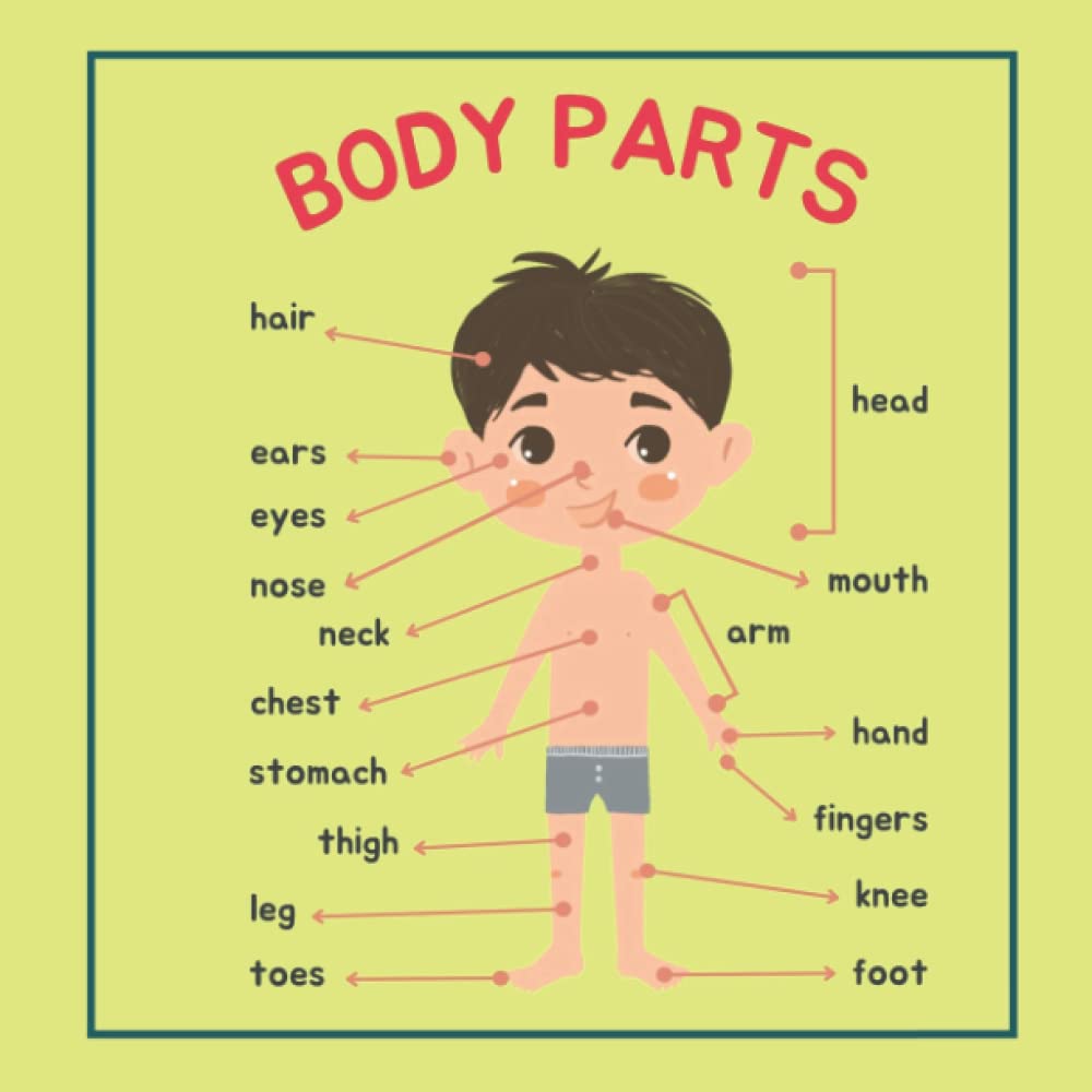 Body Parts: Colorful Pictures of Body Parts. A Colorful Book for Kids