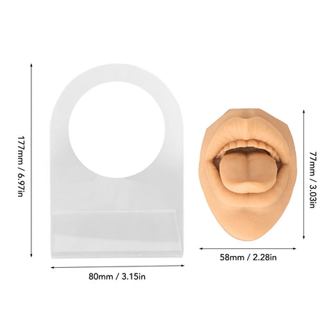 Human Tongue Model, Soft Tongue Model, Silicone Lifelike Acrylic Stand Mouth Model for Jewelry Display (Skin Color)