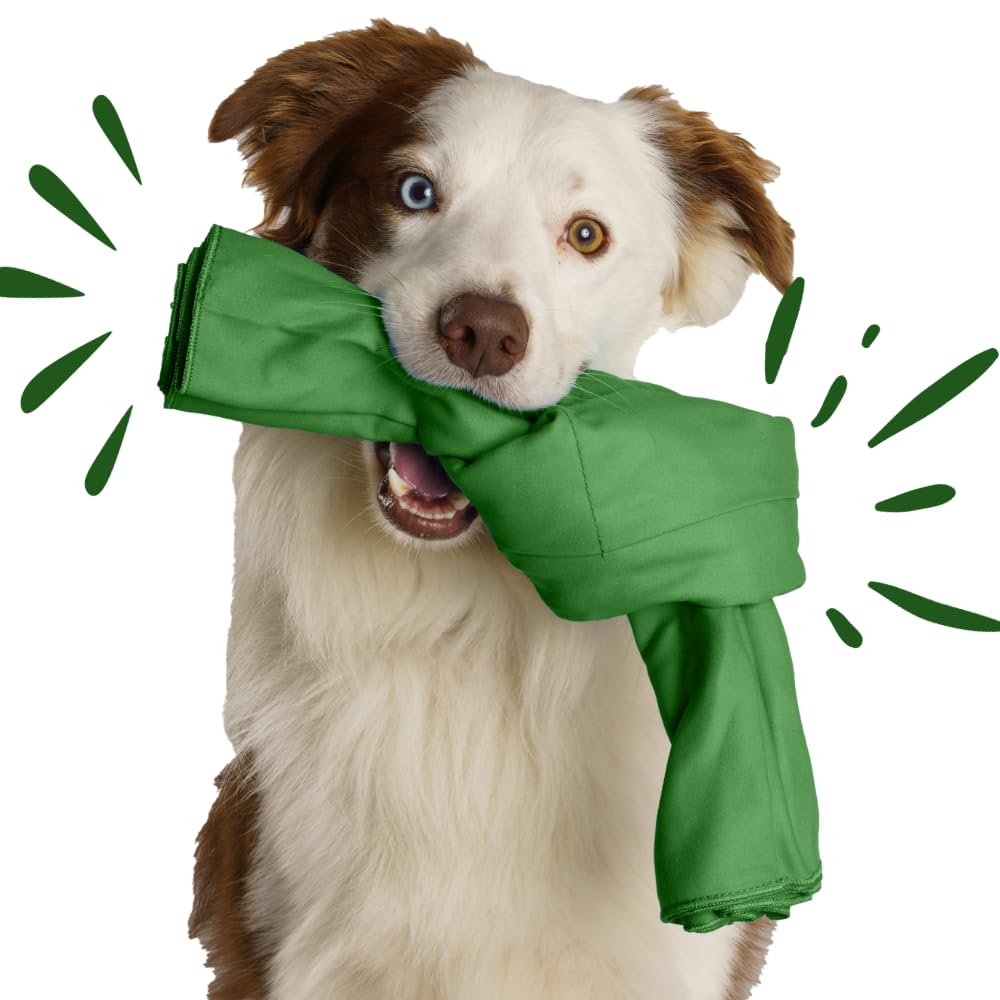 SnuffleKnot The Original - Snuffle Toy, Dog Enrichment, Dog Toys Interactive, Dog Puzzle, Snuffle mat, Dog Game, Dog Birthday Present, Interactive Dog Toys, Dog Toys for Boredom (Green)
