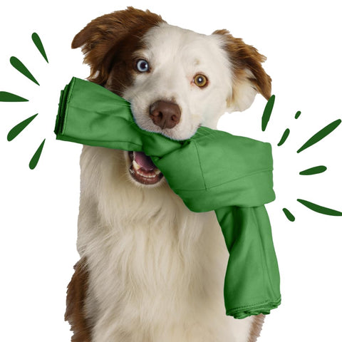 SnuffleKnot The Original - Snuffle Toy, Dog Enrichment, Dog Toys Interactive, Dog Puzzle, Snuffle mat, Dog Game, Dog Birthday Present, Interactive Dog Toys, Dog Toys for Boredom (Green)