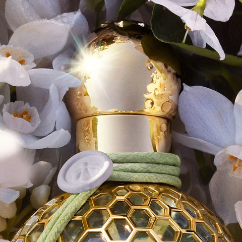GUERLAIN Aqua Allegoria Harvest Nerolia Vetiver Eau De Toilette Spray, 4.2 Ounce (Unisex)