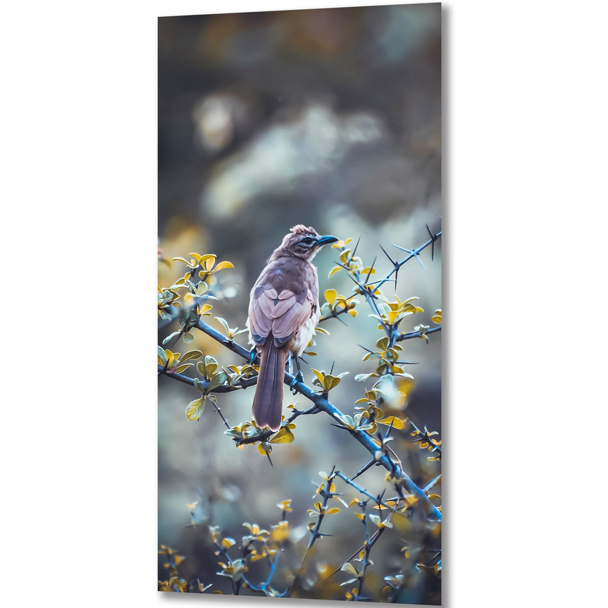 ZGmaxCL 5D Diamond Painting Kits DIY for Adults Full Drill Round Bird and Tree Gem Large Size Home Wall Art Decor 31.5 x 15.7inch