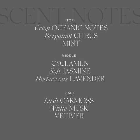 Antica Farmacista Bergamot and Ocean Aria Home Ambiance Diffuser, 16.9 Fl Oz