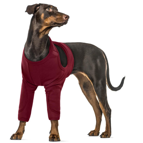 Dog Leg Wound Protector, Dog Suit for After Surgery Dog Surgery Recovery Suit Dog Front Leg Sleeve Dog Recovery Suit Front Legs(Red, 3XL)