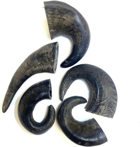 *New* Small Buffalo Horns x 5 Natural Dog Treats Chews LPD