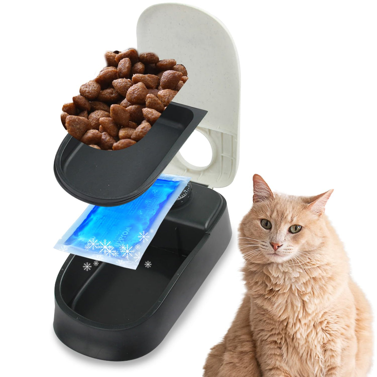 Pawise Automatic Pet Feeder 300ml Automatic Food Dispenser Station with 48-Hour Timer for Dogs and Cats - Singleâ€¦