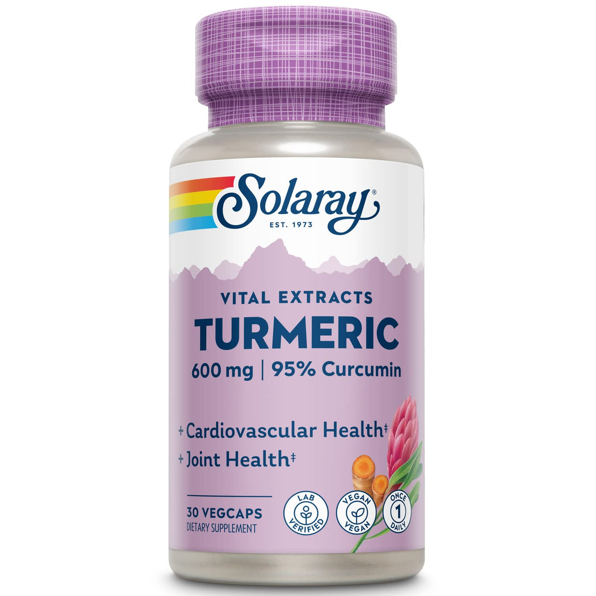 Solaray Turmeric Root Extract 570 mg - Turmeric Curcumin - with 95% Curcumin - Heart Health and Joint Health Support - Lab Verified, 60-Day Money-Back Guarantee (30 CT)