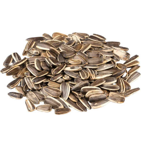 Jumbo Unsalted Sunflower Seeds In Shell by Gerbs - 2 LBS - Top 14 Food Allergen Free & NON GMO - Premium Dry Roasted Whole Sunflower Seed