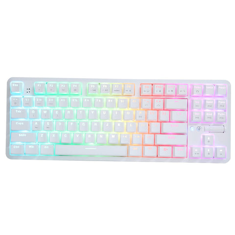 RGB Mechanical Gaming Keyboard, K870T 87 Keys Mechanical Keyboard Backlit Keys with Bluetooth 1.6m Wired Dual Mode and 18 Colorful RGB Light (White)