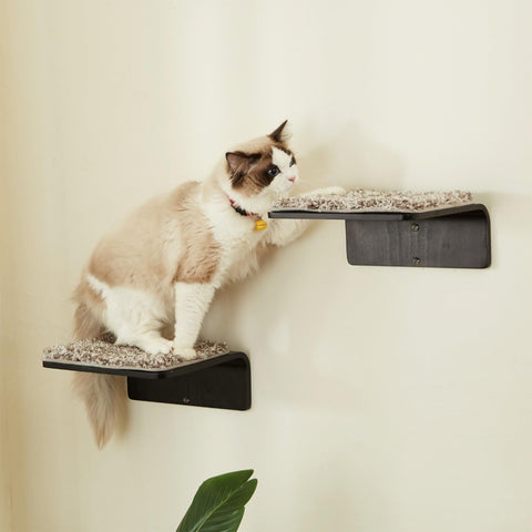 LIORCE 2 Set Cat Steps - Wooden Climbing Shelf with Scratching Mat - Wall Mounted Cat Furniture for Jumping, Playing, and Lounging, Walnut