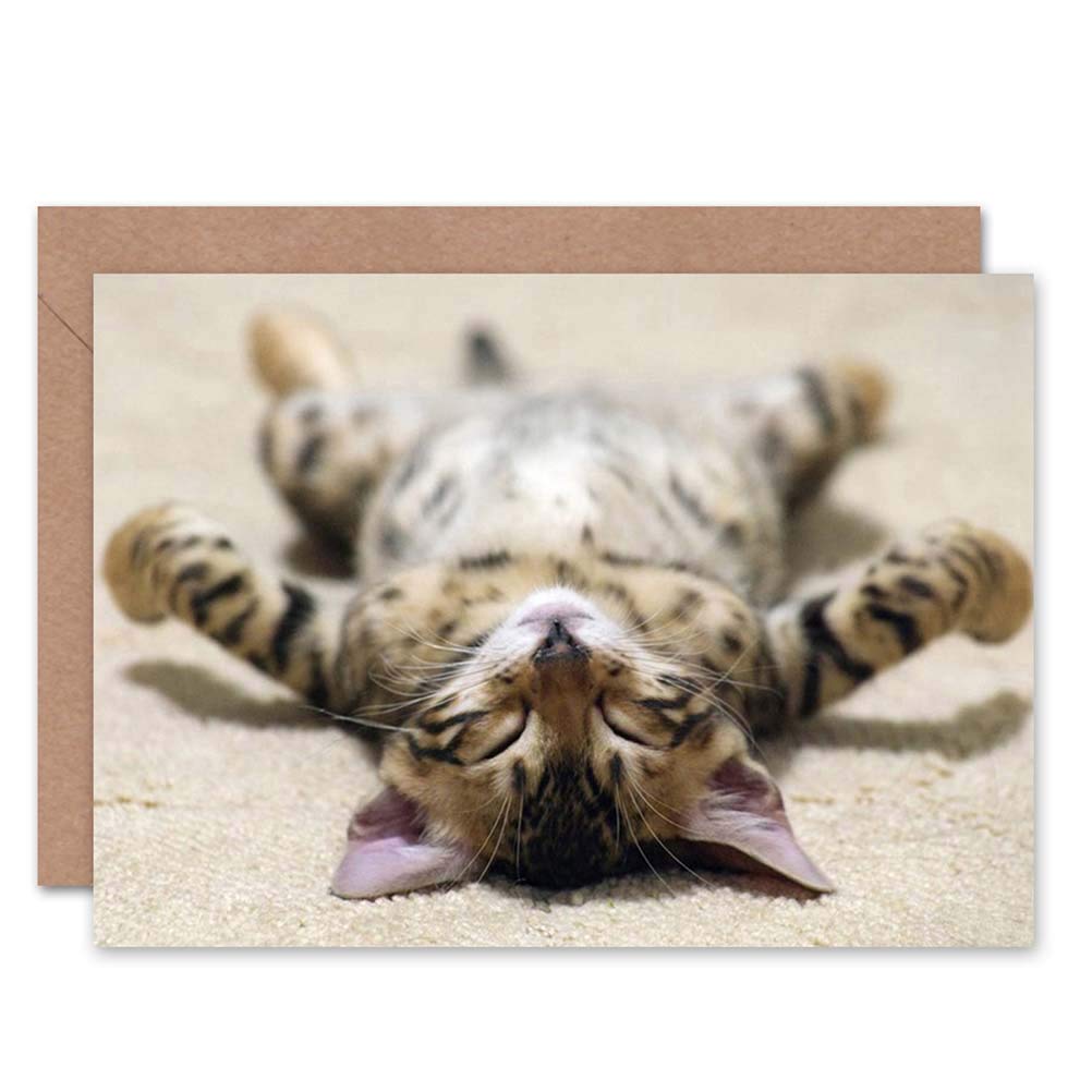 Wee Blue Coo Greeting Supine Cute Sleeping Kitten Cat Gift Sealed Greeting Card Plus Envelope Blank inside