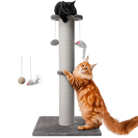34 Inch Tall Cat Scratching Post for Multi Cat - Cat Scratching Post for Indoor Cats and Kitten with Velvet Large Diameter Scratching Post Top & 2 Hanging Ball Toy