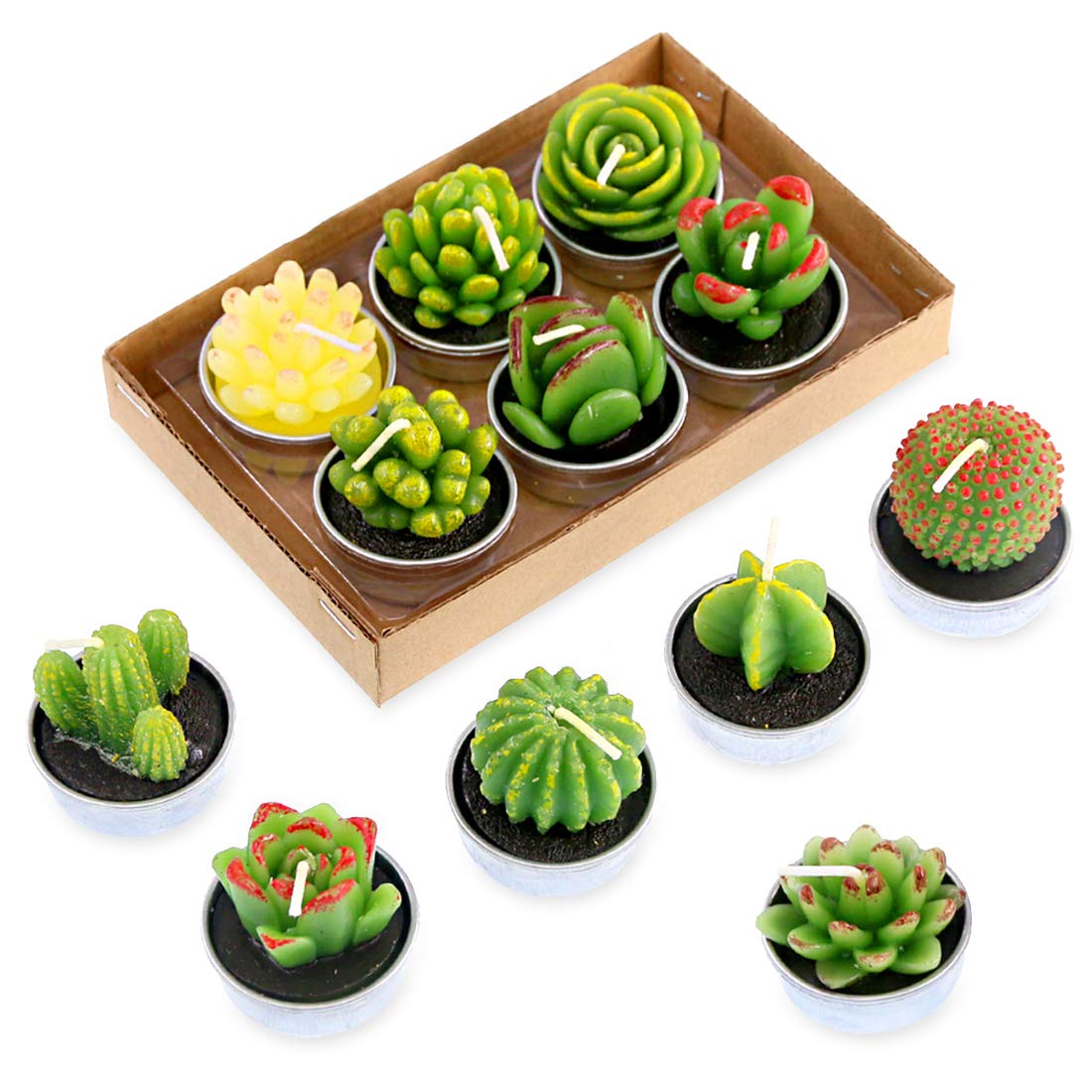 Swpeet 12Pcs Decorative Succulent Cactus Tealight Candles Kit, Cute Smokeless Succulent Plants Perfect for Candles Festival Wedding Props and House-Warming Party