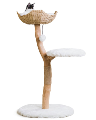 Wooden Cat Climbing Tree Tower, Modern Single Branch Cat Condo, Wood, Cat Lover Furniture Gift by MAU LIFESTYLE (Alpine White)