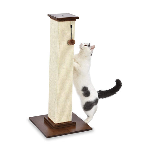 Amazon Basics Large Premium Tall Cat Scratching Post - 16 x 35 x 16 Inches, Wood