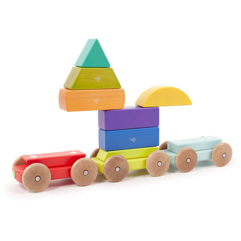 9 Piece Tegu Magnetic Shape Train Building Block Set, Rainbow