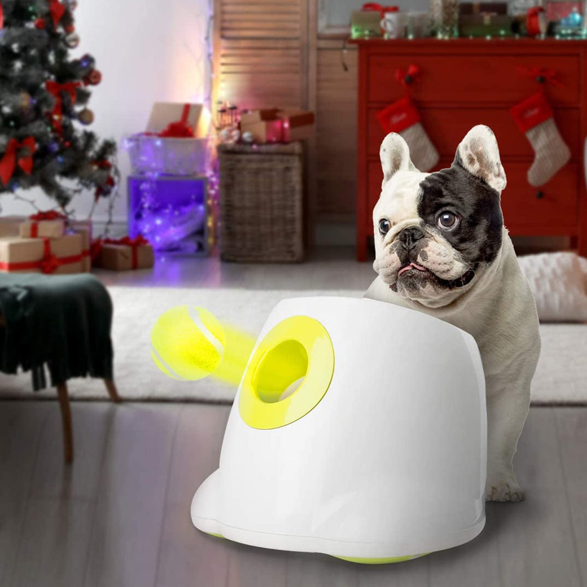 ALL FOR PAWS Automatic Dog Ball Launcher, Interactive Dog Tennis Ball Thrower for Small and Medium Dogs with 3pcs 5cm Tennis Balls, Rechargable Interactive Puppy Fetch Toy