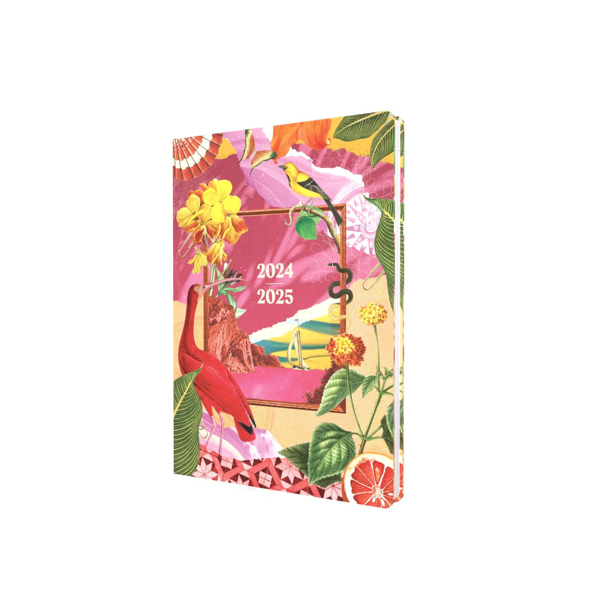 Collins Maximalism A5 Diary Week To View Academic Year 2024-25 - Pink - Weekly Mid Year Journal for Students, Teachers and Academics - MX153M.45-2425 - August 2024 to August 2025