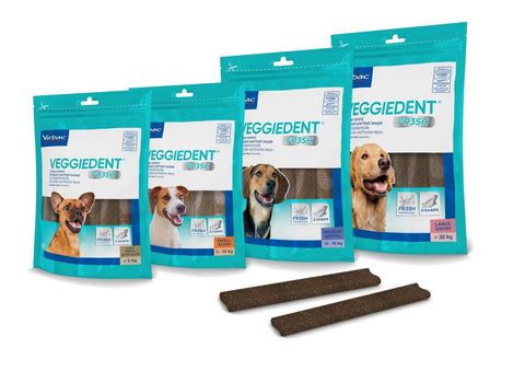 VEGGIEDENT vn100758 Strips of Snack Fresh, XS