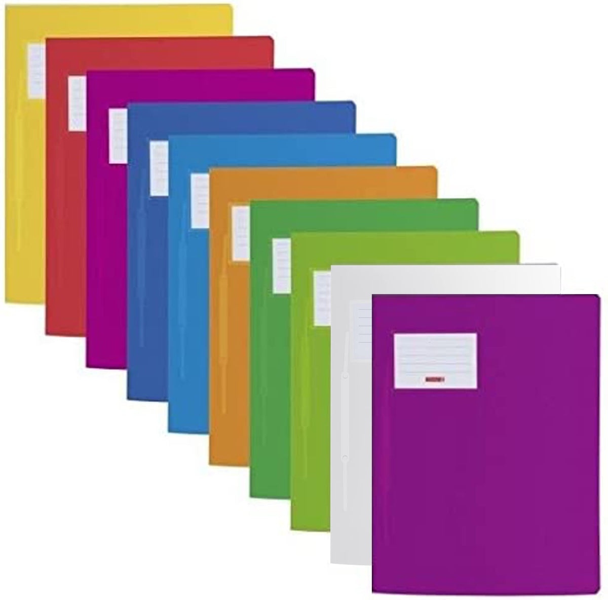 14 colour folder Fact! Polypropylene 24 x 31 Centimetres for A4, 10-fach Packung, assorted colours, 5
