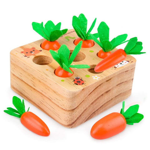 Toys for 6 Months Old Plus Boys Girls, Montessori Toys for 1 Year Old Toddler Toy 1 Year Old Girl Gifts Boy Toy Age 1 Wooden Toy Kids Active Game 1st Birthday Gift Presents 6 12 Month Baby Sensory Toy