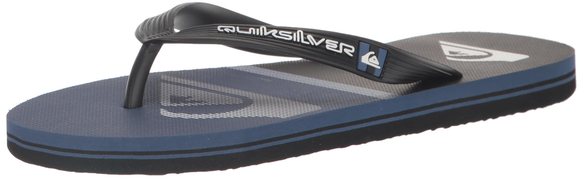 Quiksilver Men's Molokai Swell Vision Flip Flop Sandal, Grey 1 233, 6