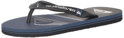 Quiksilver Men's Molokai Swell Vision Flip Flop Sandal, Grey 1 233, 6