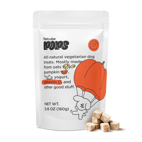 Petcube POPs | Natural Vegetarian Dog Treats with Pumpkin Taste for Training Dogs and Puppies