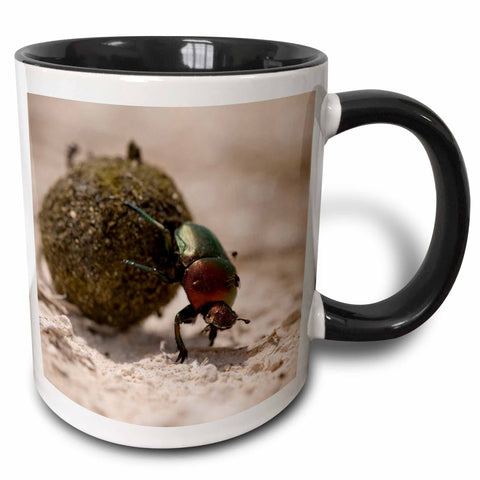 3dRose mug_72690_4 "Namibia, Etosha NP, Dung Beetle insect-AF31 PSO0122 - Paul Souders" Two Tone Black Mug, 11 oz, Multicolor