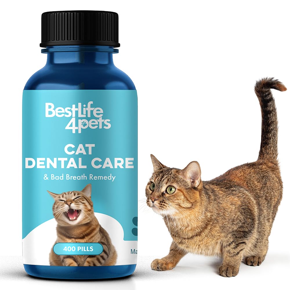 BestLife4Pets Oral Health for Cats - Cat Dental Care Supplement Anti inflammatory Pain Relief for Stomatitis Gingivitis and Gum Disease Cat Supplies for Dental Care - Easy to Use Pills