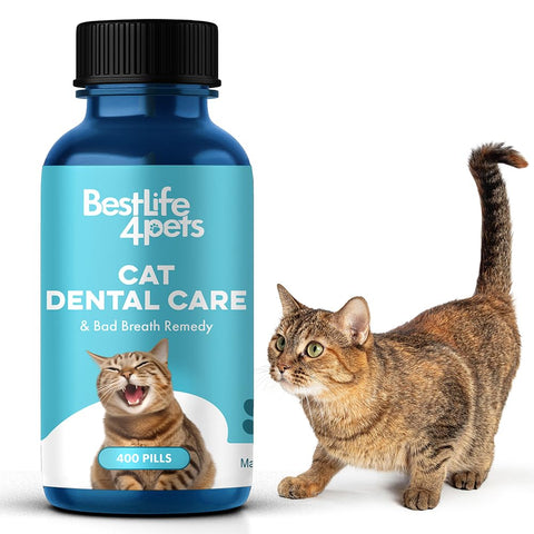 BestLife4Pets Oral Health for Cats - Cat Dental Care Supplement Anti inflammatory Pain Relief for Stomatitis Gingivitis and Gum Disease Cat Supplies for Dental Care - Easy to Use Pills