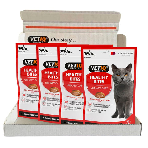VetIQ Healthy Bites Urinary Care Cat Treats, 4x 65g, Cat Supplement with Cranberry For Urinary Tract Health, Kitten Treats with Cheese & Catnip with Prebiotic Fibre For Cat & Kitten Health
