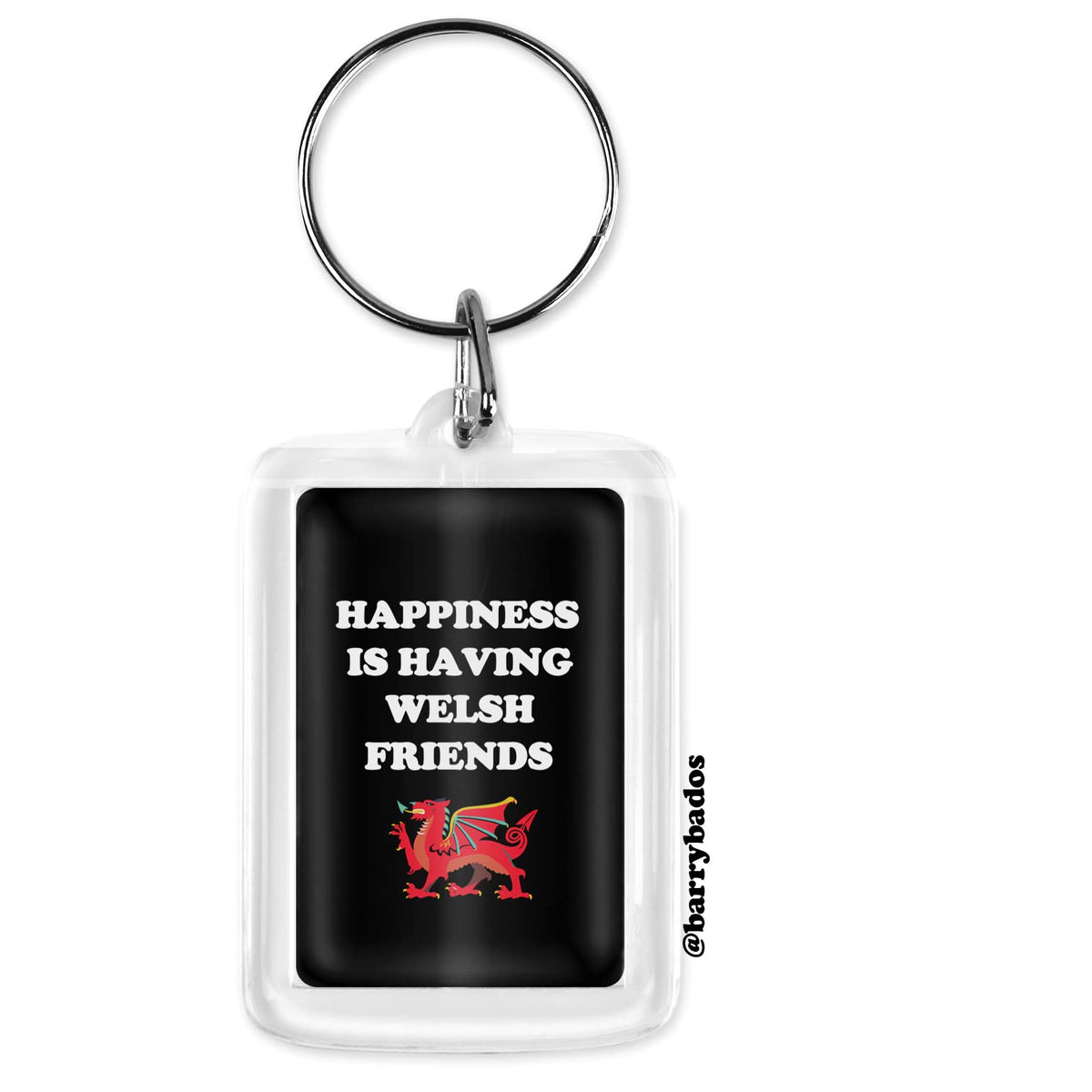 Happiness is Having Welsh Friends keyring, Welsh keyring, St davids day