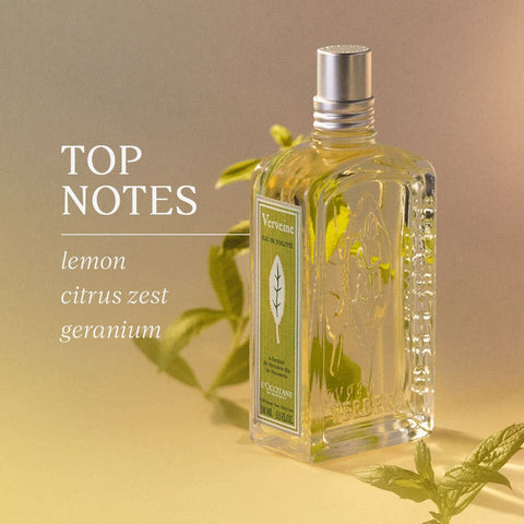 L'Occitane Verbena Roll-On Eau de Toilette, 0.33 fl. oz.