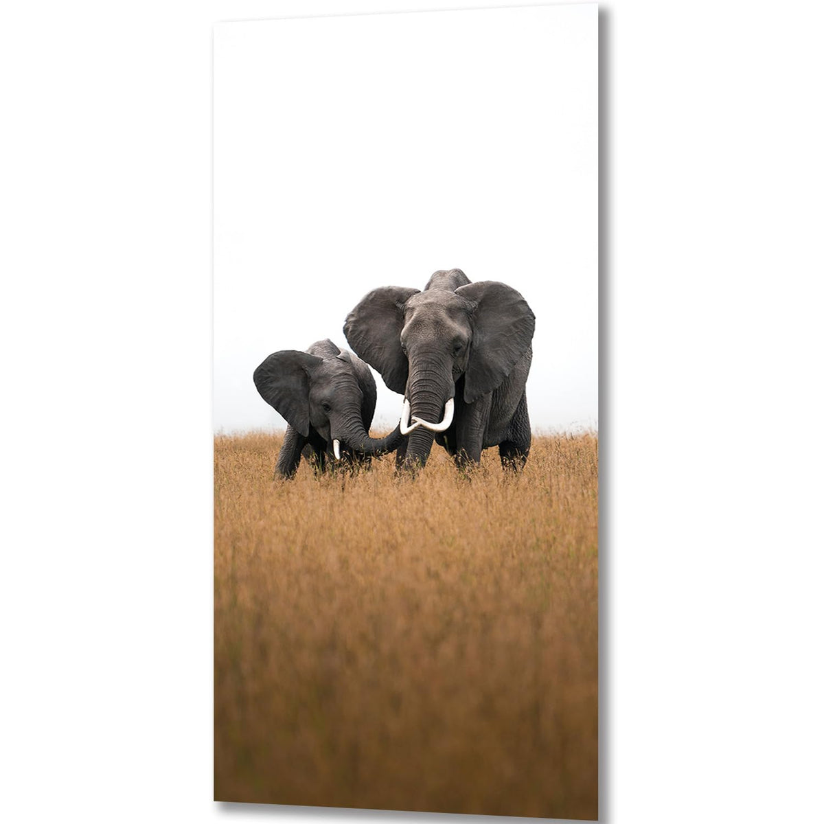ZGmaxCL 5D Diamond Painting Kits DIY for Adults Full Drill Elephant Prairie Diamond Dots Large Size Home Wall Decoration Arts Crafts 47.2 x 23.6inch