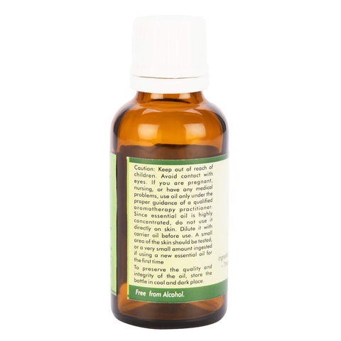 Myrtle Essential Oil | Myrtus Communis | Myrtle Oil | For Skin | Undiluted | 100% Pure Natural | Steam Distilled | Therapeutic Grade | 30ml | 1.01oz By R V Essential