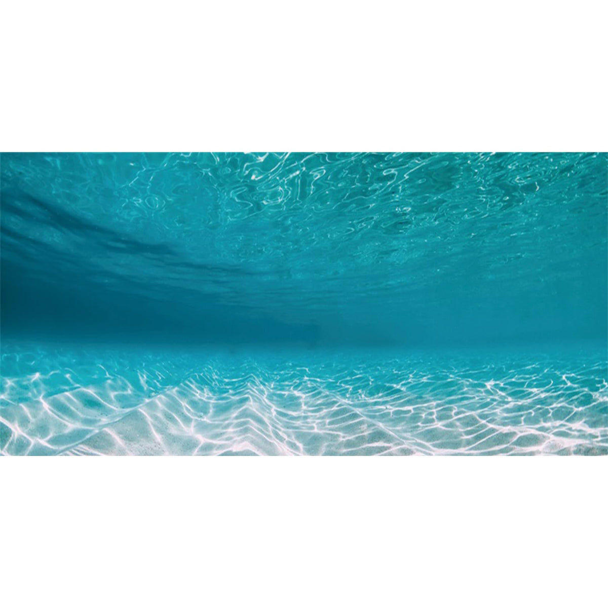 AWERT 24x16 inches Undersea Aquarium Background Pool Ocean Floor Aquarium Background Underwater Fish Tank Background